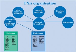 FNorganisation_1