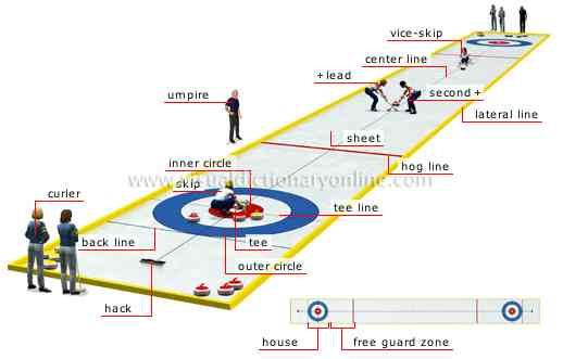 curling-illustration