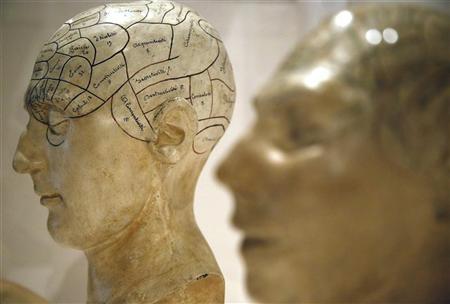 Plaster phrenological models of heads, showing different parts of the brain, are seen at an exhibition at the Wellcome Collection in London