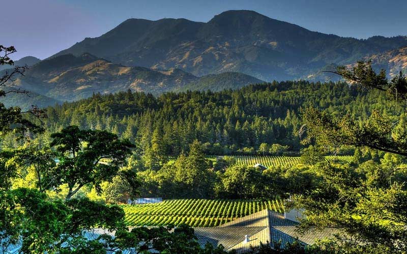 things-to-do-in-napa-other-than-wine